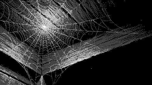 A spiderweb